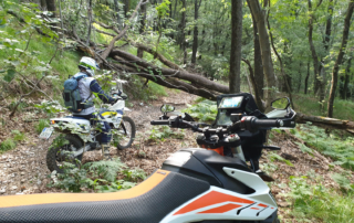 Adventurebiketour TET Slowenien Jentlflow - Windbruch verhindert die Weiterfahrt