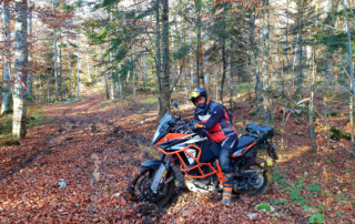 Adventurebiketour Jentlflow am TET Kroatien. gatschiger Wald