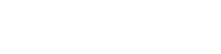 Dunlop Logo